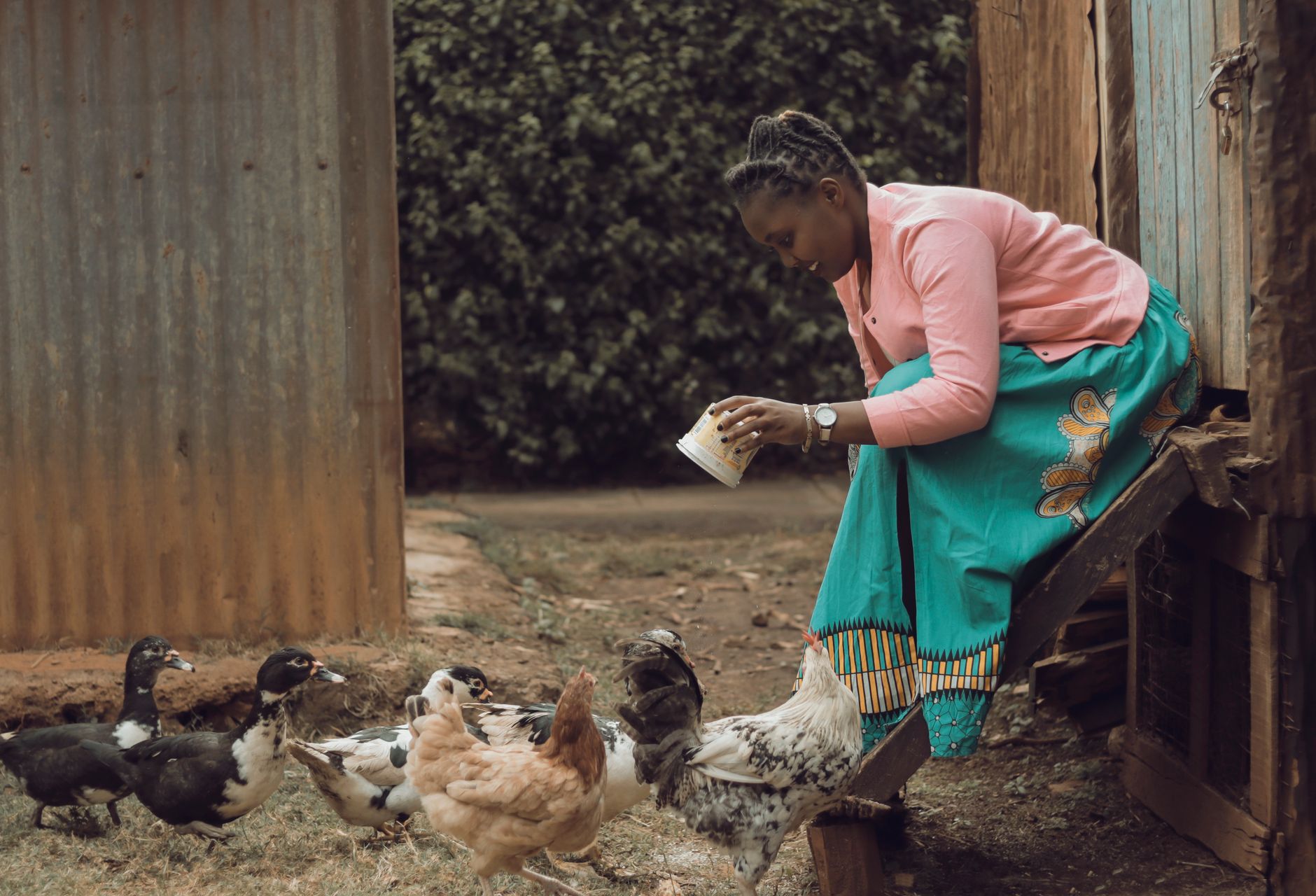 Tratadora a dar de comer às aves
