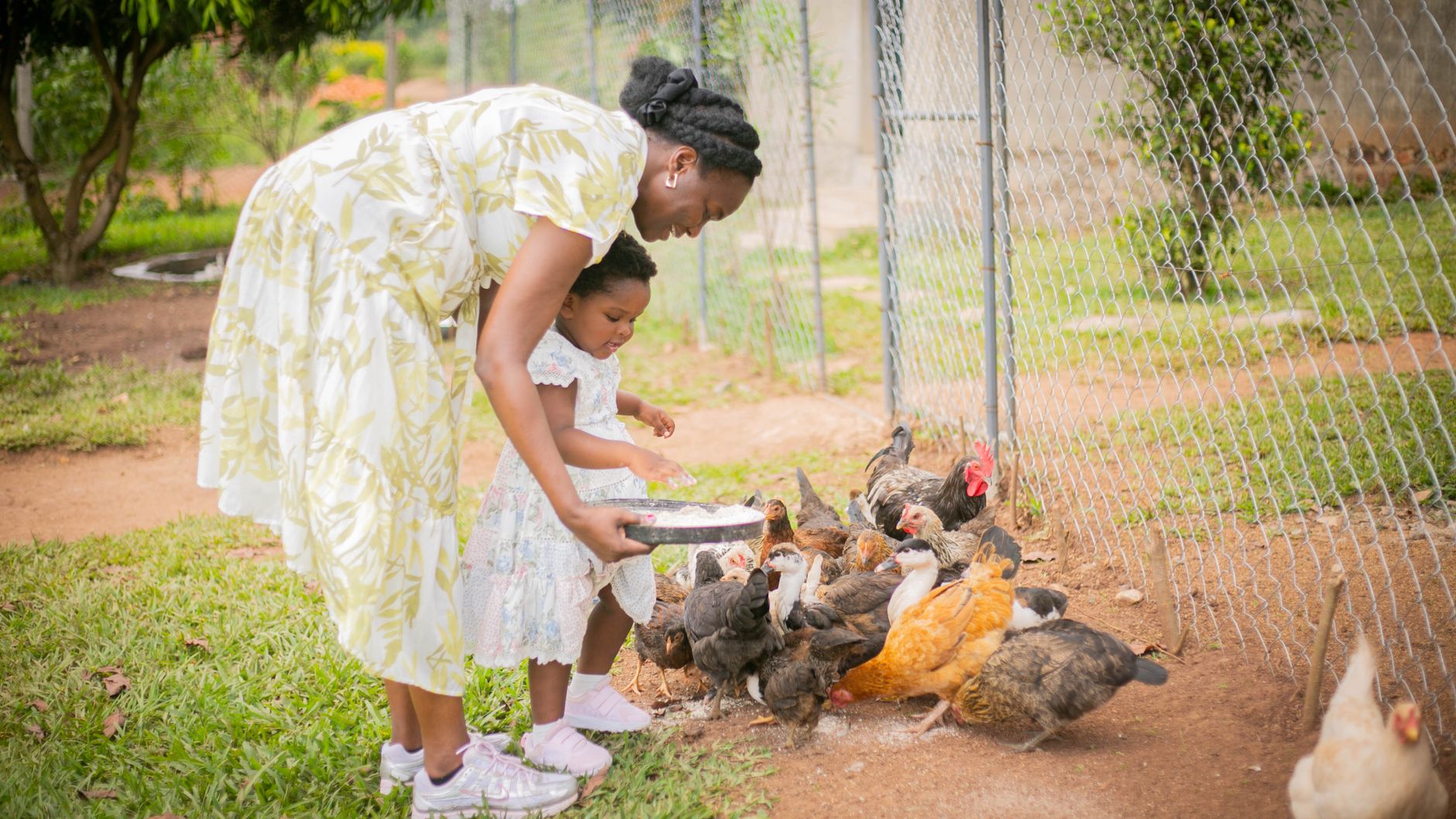 Mãe e filha a alimentar as galinhas